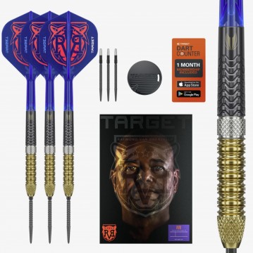 Target Raymond Van Barneveld Gen6 SP 95% Steeltip